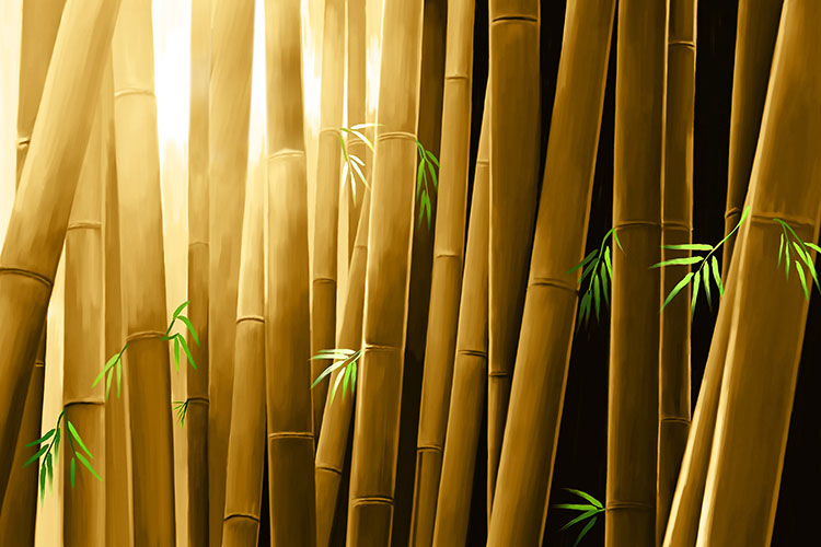 Bamboo-CP2063.jpg