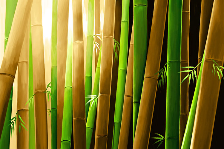 Bamboo-CP2064.jpg
