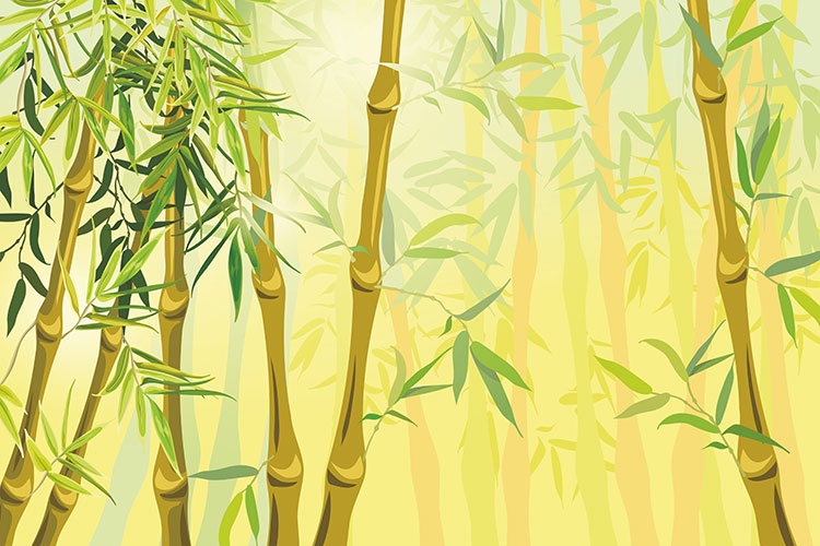 Bamboo-CP2067.jpg