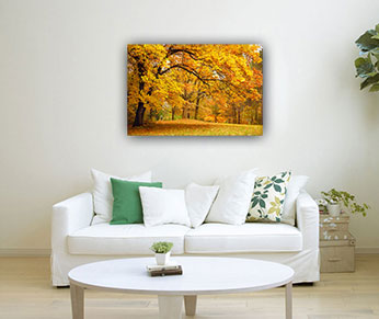 Autumn Landscape Passion Symbol