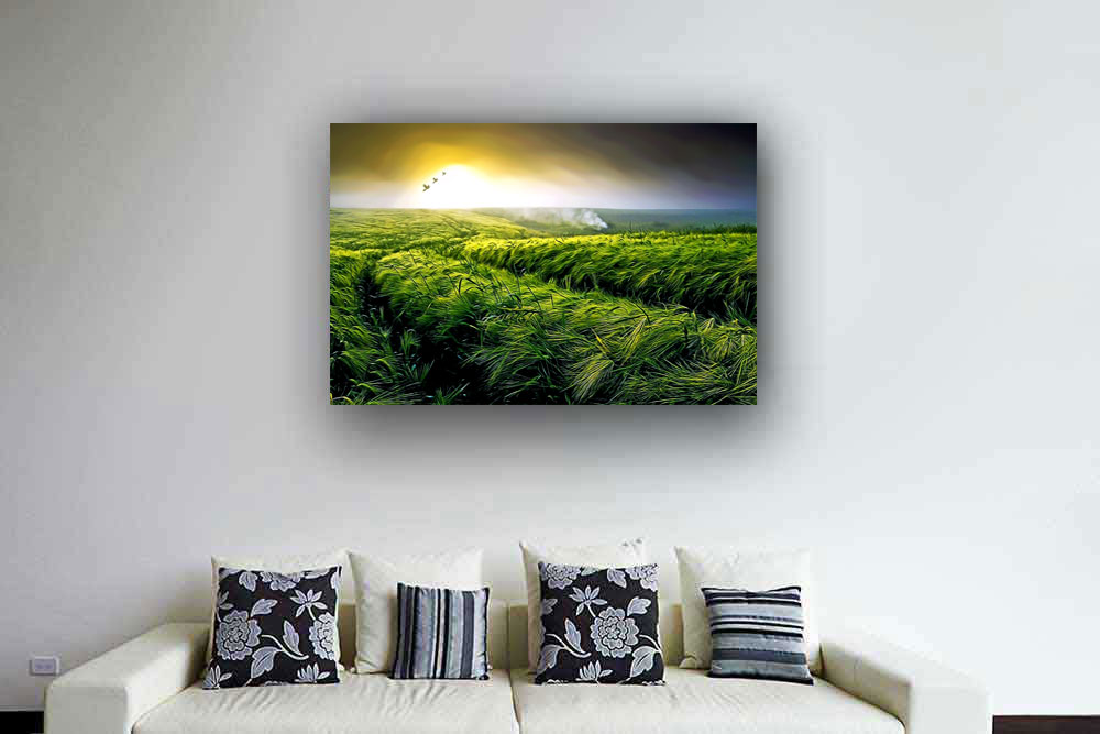 Lush Green Landscape Health and Well being