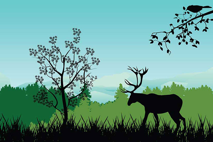 Feng Shui Deer Painting