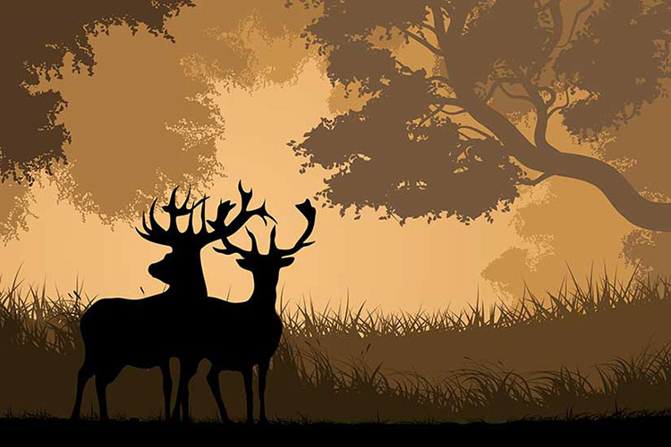 Feng Shui Deer Painting