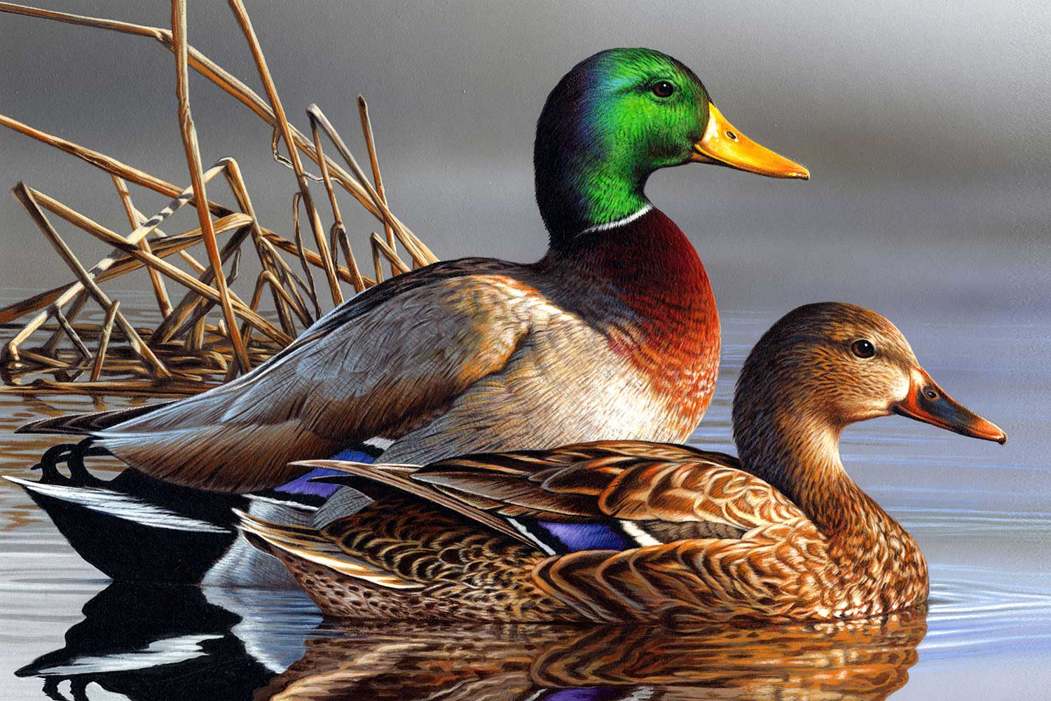 Feng Shui Duck Painting