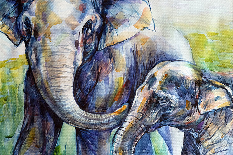 Elephant-CP104.jpg