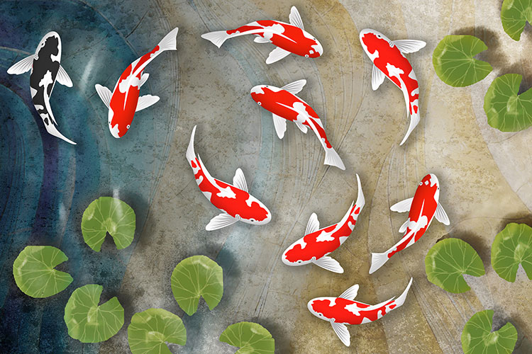 Feng Shui Koi Fish Painting
