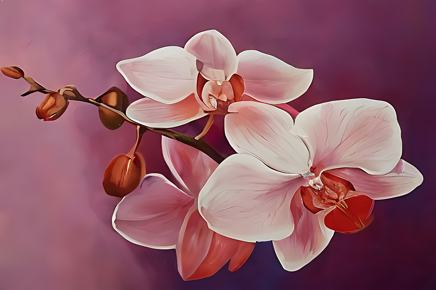 Orchid_CP109.jpg