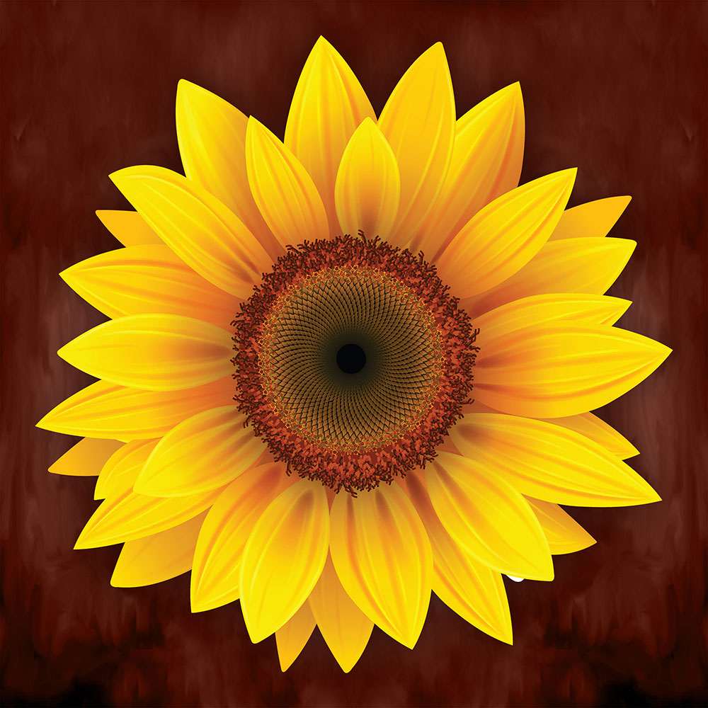 Sunflower_CP111.jpg