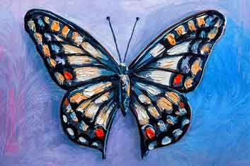 Butterfly-CP106.jpg