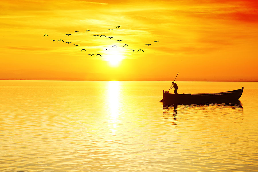 Morning Landscape New Beginnings