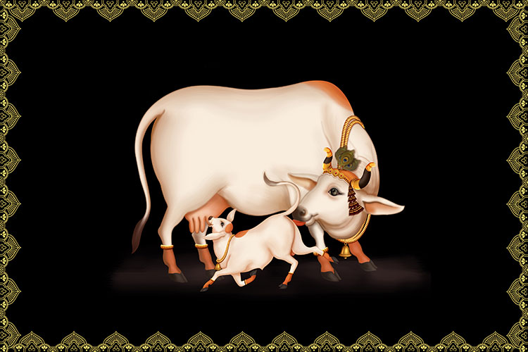 Cow-CP101.jpg