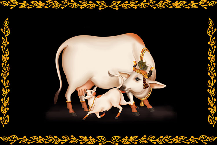 Cow-CP102.jpg