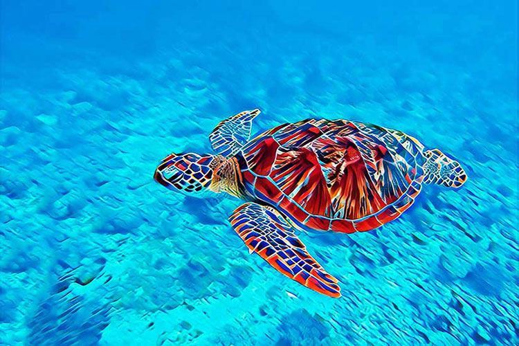 Feng Shui Turtle Painting